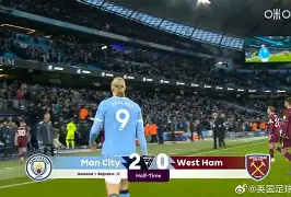 华西列夫斯基回忆录在线阅读